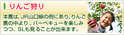 りんご狩り - 本園は、JR山口線の側にあり、りんご園の中から。バーベキューを楽しみ
ながらもSLを見ることが出来ます。