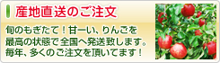 産地直送のご注文 - 旬のもぎたて！甘ーい、りんごを最高の状態で全国へ発送致します。毎年、多くのご注文を頂いてます！