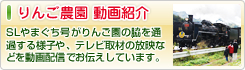 徳佐・中谷りんご園 動画紹介 - SLやまぐち号がりんご園の脇を通過する様子や、テレビ取材の放映などを動画配信でお伝えしています。